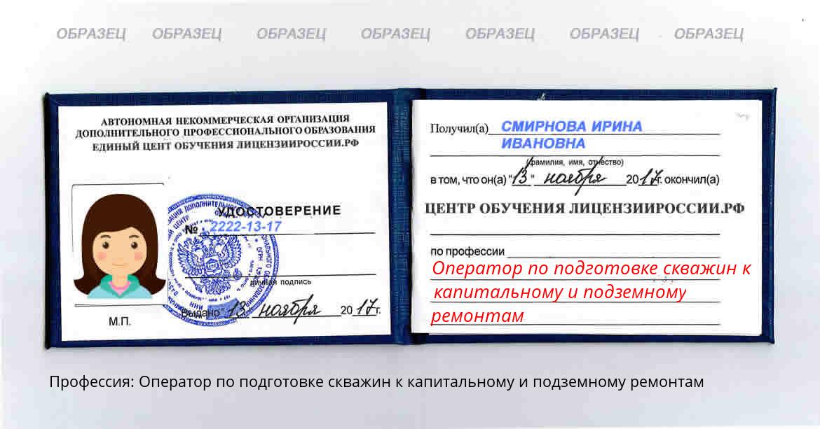 Оператор по подготовке скважин к капитальному и подземному ремонтам Петропавловск-Камчатский